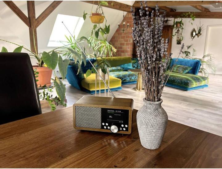 Produktbild Dynavox Weltempfänger DAB+, FM, DAB DAB+, Bluetooth®, SD, USB Braun (DAB, FM, DAB+, Bluetooth)