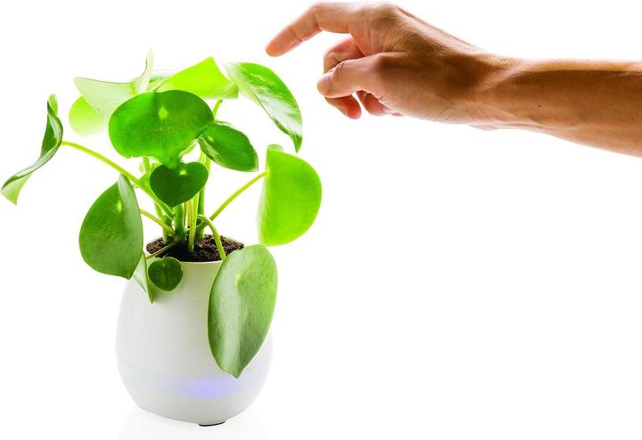 Produktbild XD Design Flowerpot Speaker (5 h)