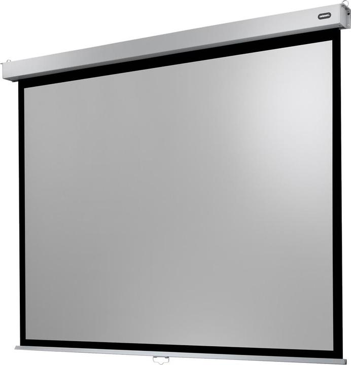 Celexon Professional Plus (108", 4:3)
