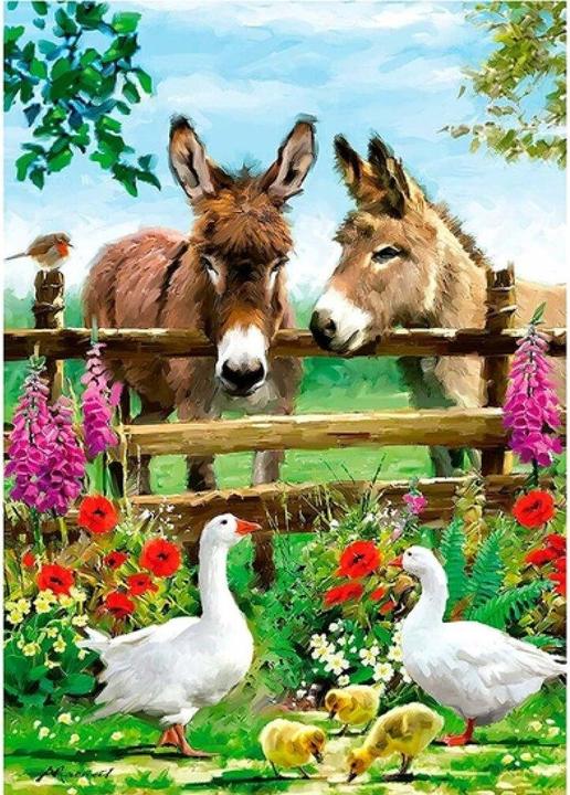 Produktbild Educa Puzzle Esel 500 Teile (500 Teile)