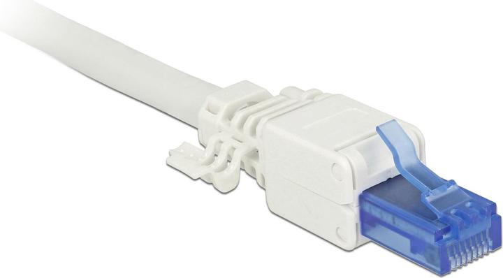 Immagine prodotto Delock Spina RJ45, UTP, Cat.6A, 2 pezzi (Connettore del cavo di rete)