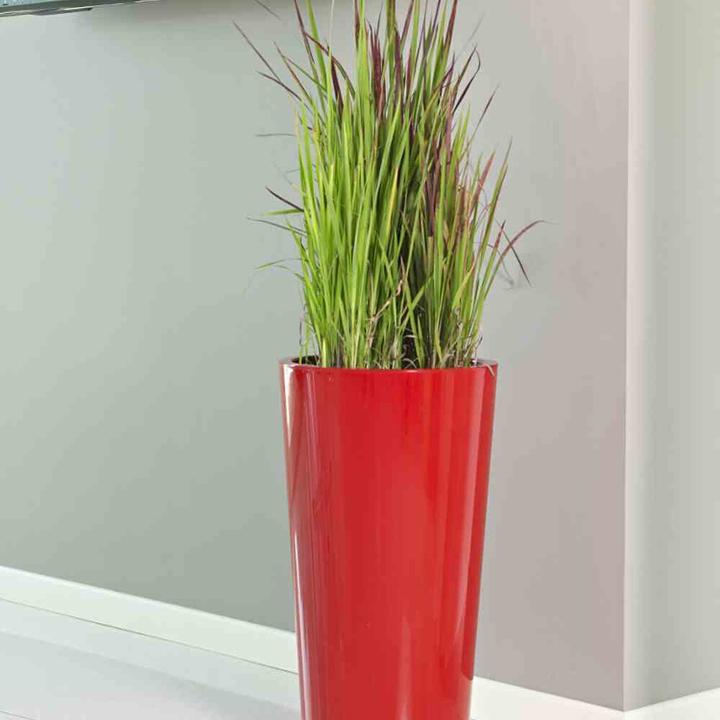 Actual product image Euro3plast Tuit (33 cm)