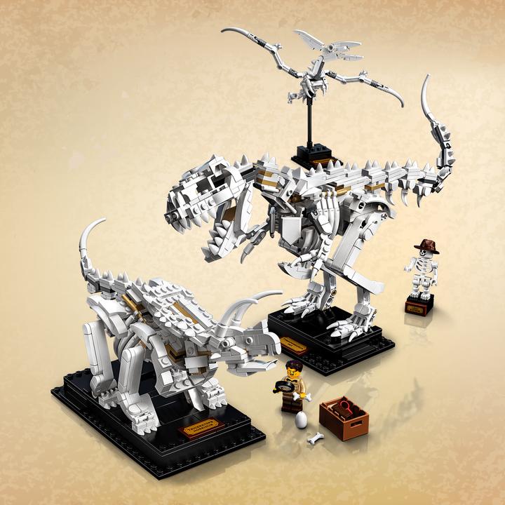 Image du produit LEGO Fossiles de dinosaures (21320, LEGO Ideas)