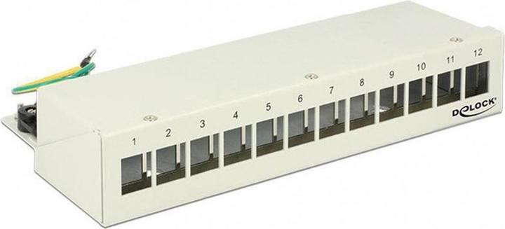 Delock 12-Port Desktop Patchpanel, Hutschienenkit