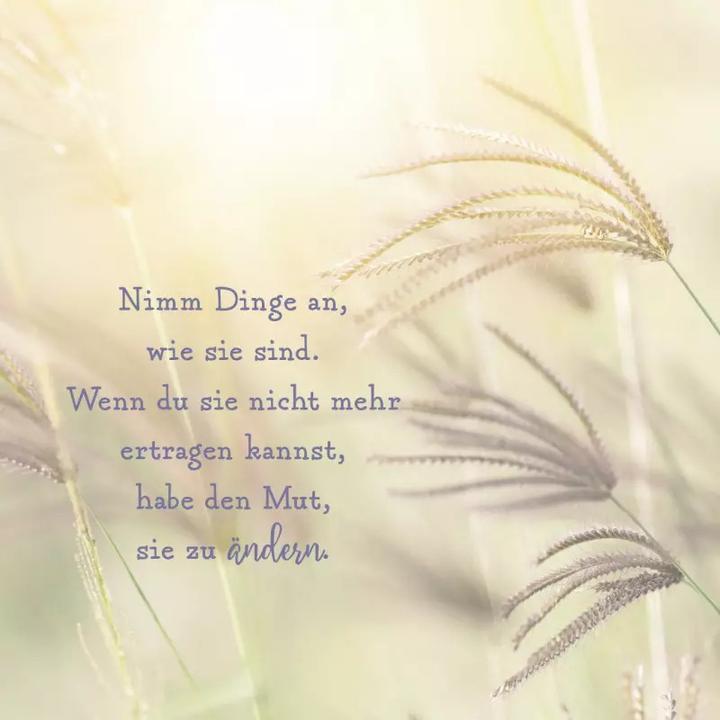 Produktbild Ein Schutzengel für dich (Harter Einband, Deutsch)
