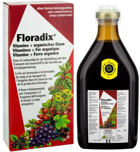 Actual product image Floradix Iron (1 Piece, Liquid, 600 g)