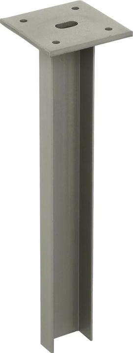 Pitzl Extractor (1 pcs.)