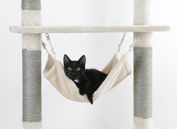 Actual product image Kerbl Scratching post Creativ Adventure (150 cm, Brown)