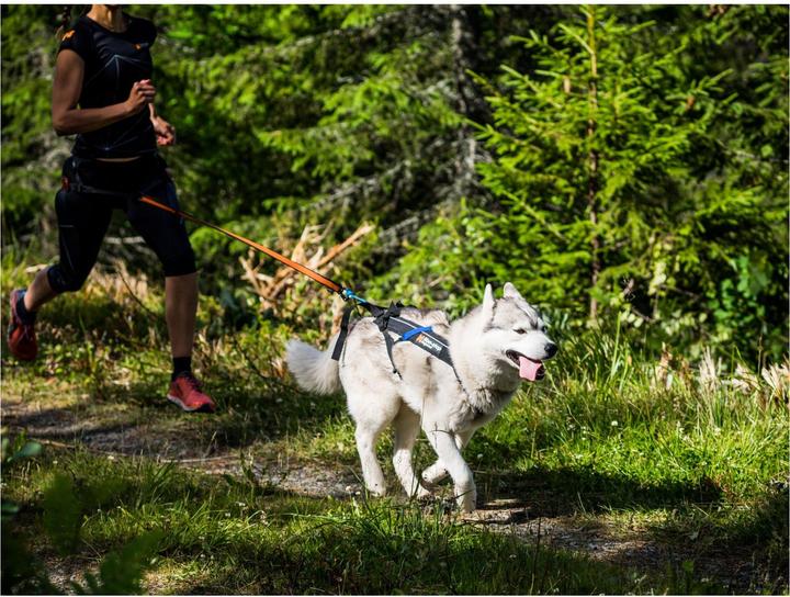 Actual product image Non-Stop Dogwear Freemotion pull harness running harness sport harness (8, Dog, Dog sport)