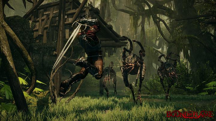 Image du produit Plaion Bound by Flame (PS4)