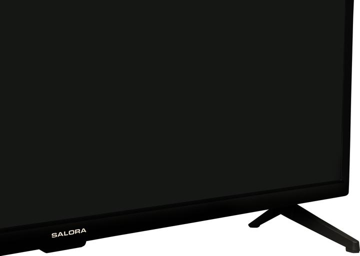 Actual product image Salora 220 series - 24 smart (24", LED, HD ready)