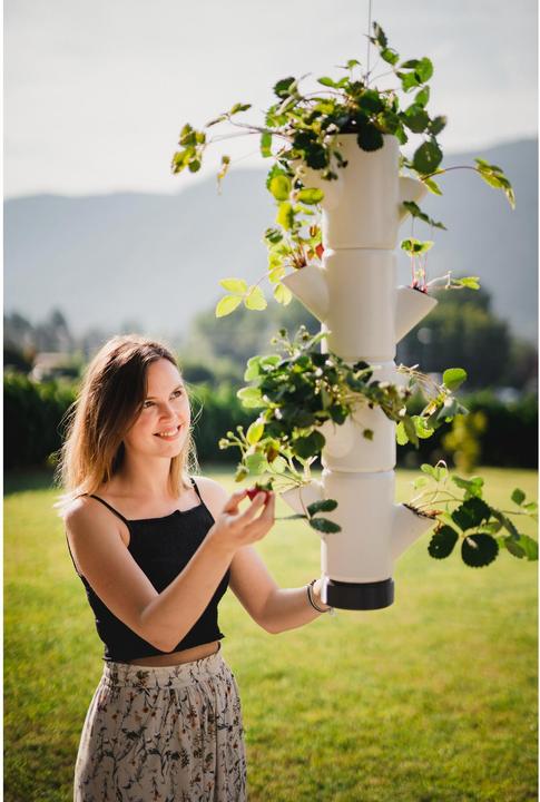 Actual product image Gusta Garden Sissi Strawberry (48 cm)