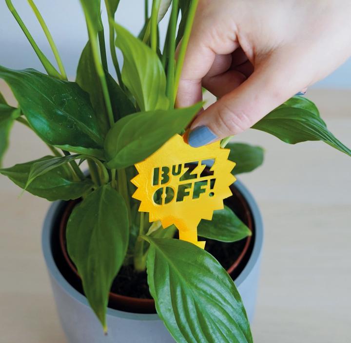 Actual product image Bubblegum Plant insect trap Sticky traps 10 pieces