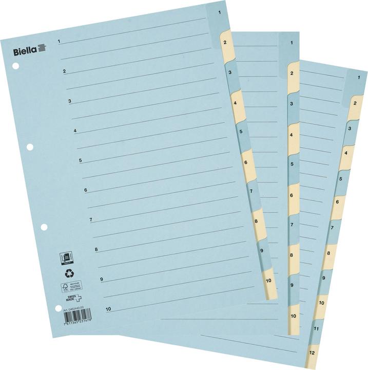 Actual product image Biella Register Cardboard coloured