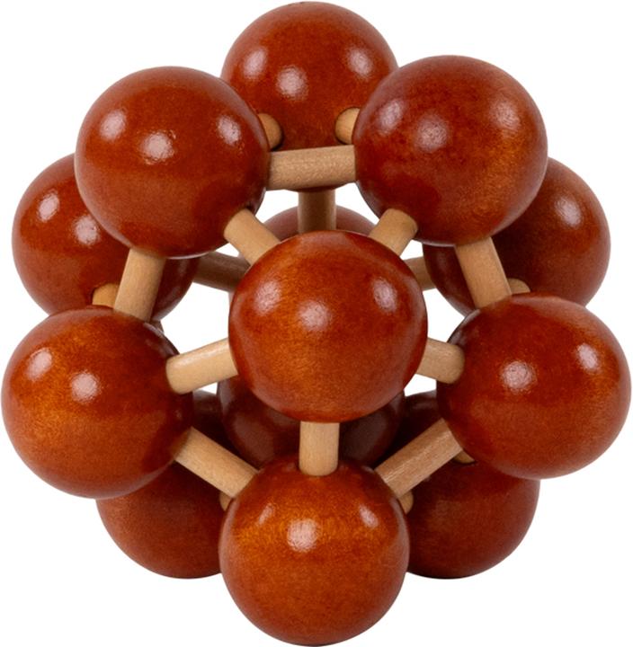 Actual product image Recent Toys Brain Puzzle No.1 Frontal Lobe (German)
