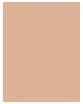 Actual product image MAC Cosmetics Mineralize Skinfinish (Medium Plus)