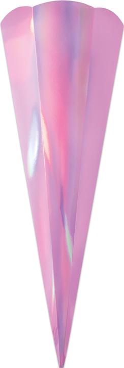 Actual product image Folia School cone blank (20 cm, 5 x)