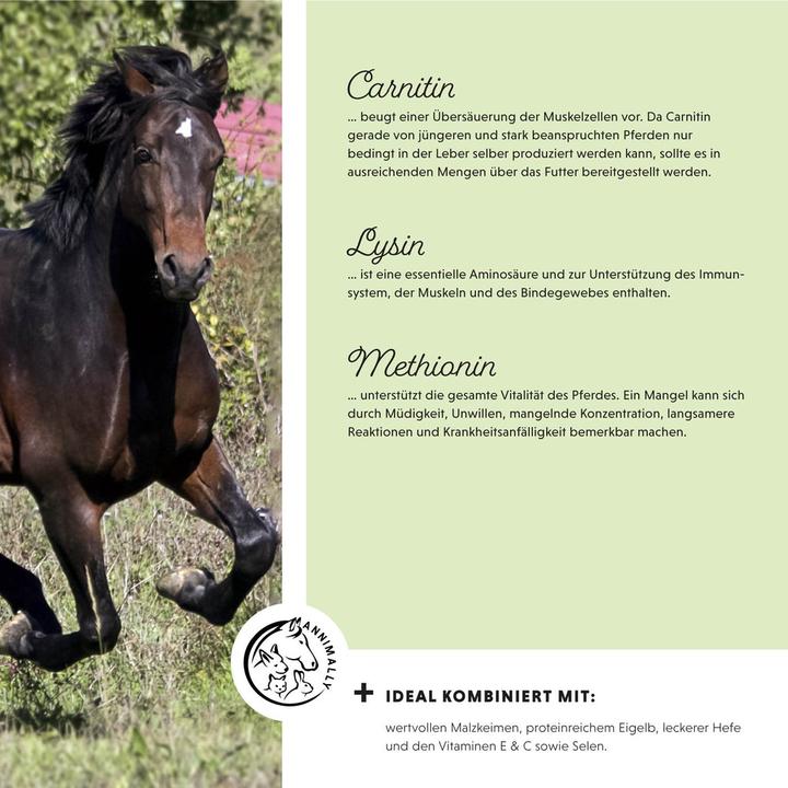 Immagine prodotto Annimally Polvere di potenza muscolare (700 g)