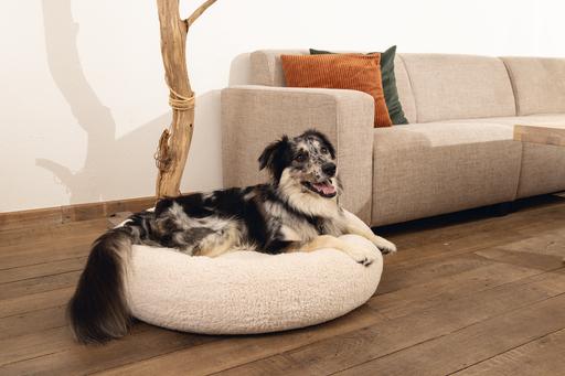 Actual product image Beeztees Jaxx (Dog)