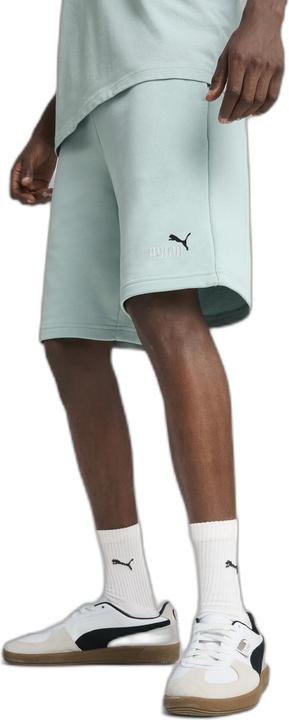 Produktbild Puma ESS 2 COLOR No. 1 Logo Shorts 10" TR (XXL)