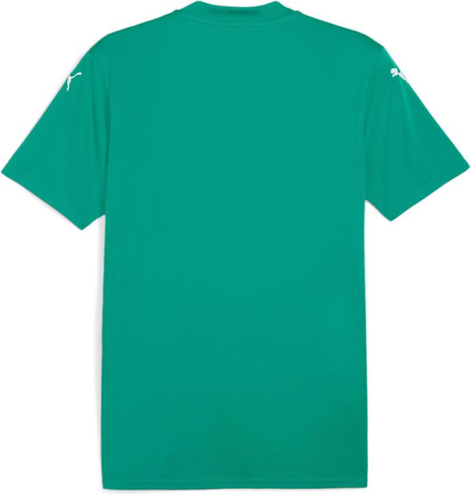 Actual product image Puma teamGLORY Jersey (3XL)