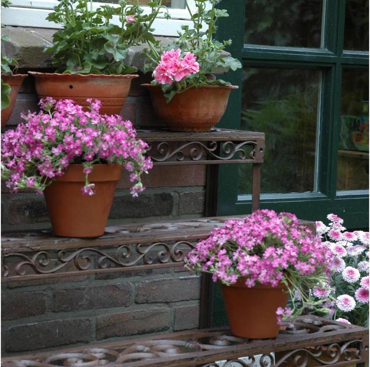 Produktbild Esschert Design Blumentreppe