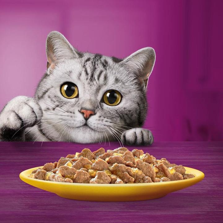 Actual product image Whiskas Freshness bag (Adult, 12 pcs., 1020 g)