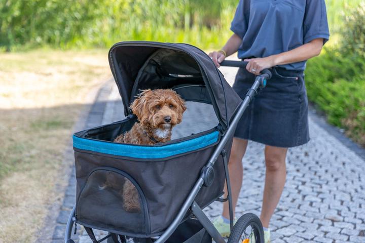 Image du produit Trixie Poussette (Chat, Chien, Ouverture complète)