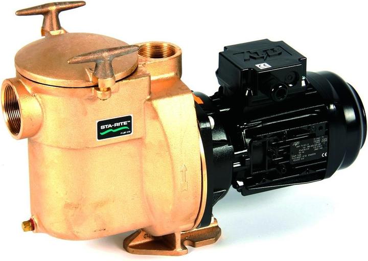 Produktbild Pentair Sta-Rite Bronze Pumpe BRF-1 1,5/PS 1,10kW 230V ref 5BRF-1E2