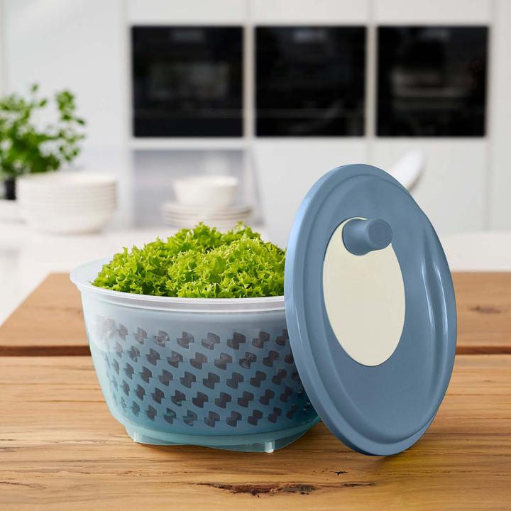Actual product image Rotho Fresh