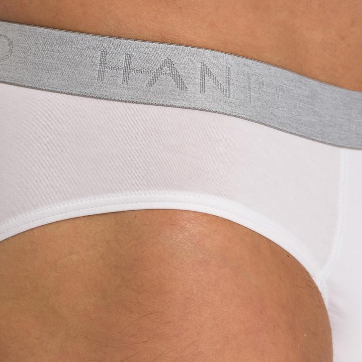 Actual product image Hanro 2Pack Cotton Essentials Briefs (L, pack of 2)