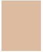 Actual product image Makeup Revolution IRL Filter Finish Soft Matte Concealer (C2)
