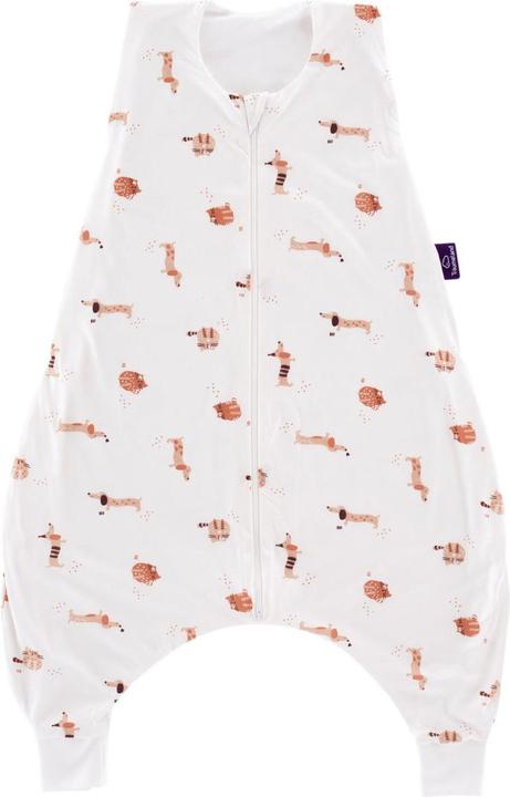 Cats, Dogs