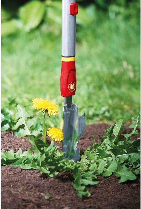 Produktbild Wolf-Garten iW-M Distelstecher