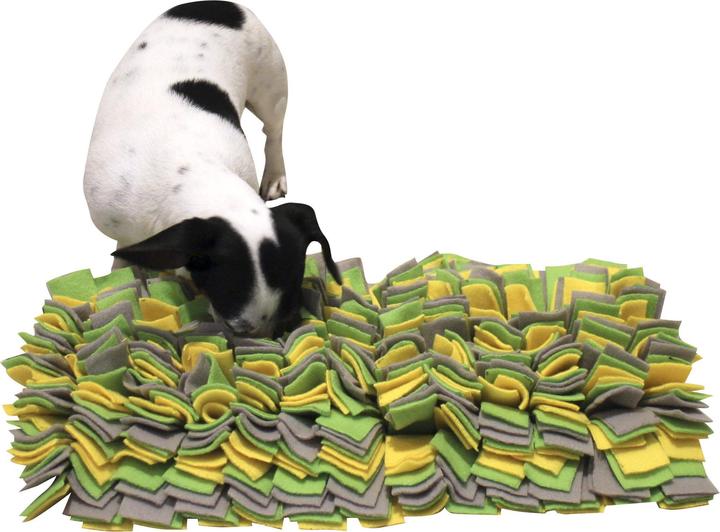 Actual product image Kerbl Schnüffelteppich (Intelligence toy dog)