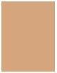Actual product image Sisley Phyto-Teint Ultra Éclat (3+ apricot)