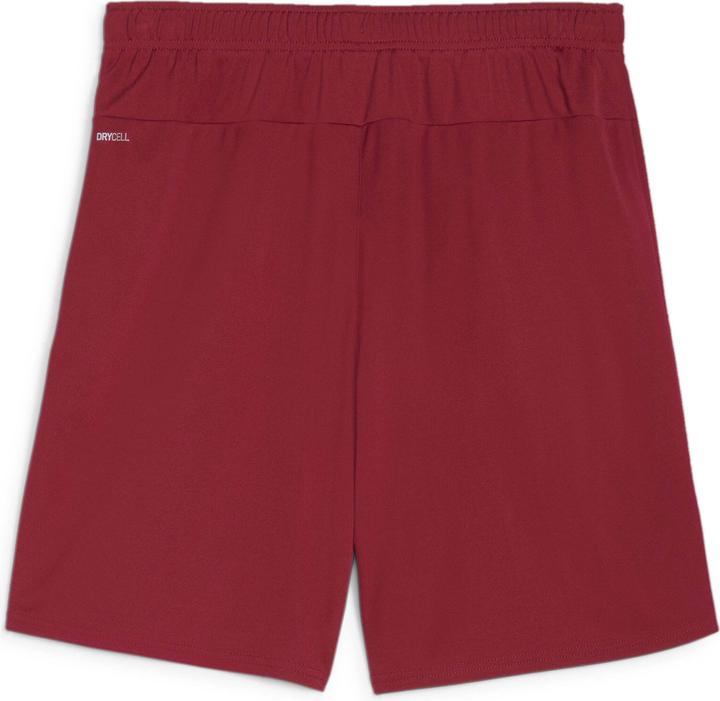 Actual product image Puma teamGOAL shorts (XL)