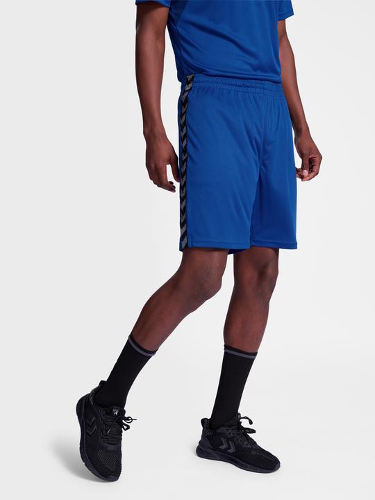 Image du produit hummel Hmlauthentic Pl Shorts (XL)