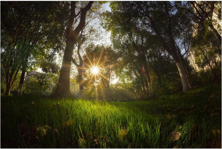 Produktbild 7artisans Festbrennweite 7.5mm F/2.8 Fisheye Mark II – Canon RF (Canon RF, APS-C / DX)
