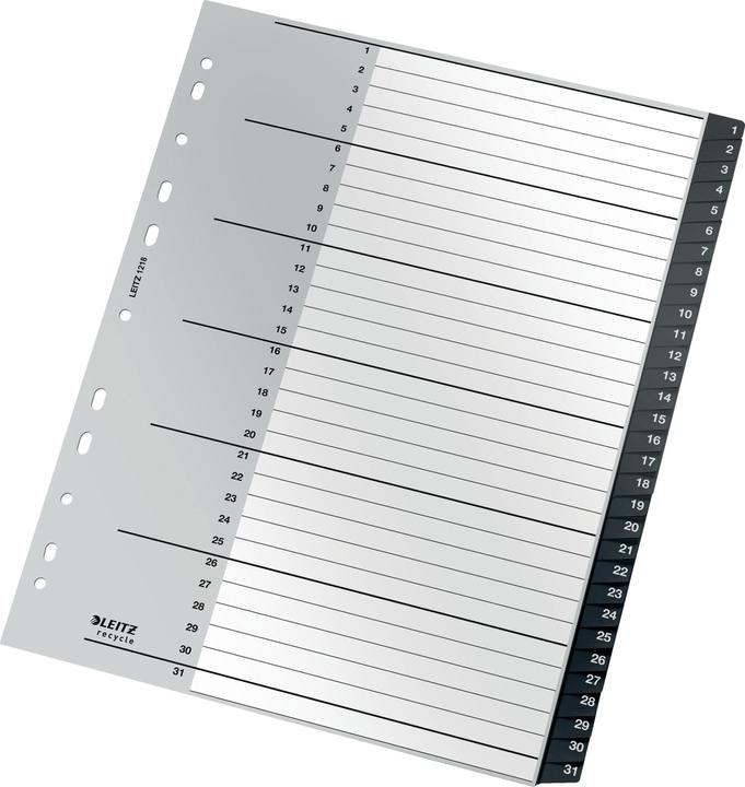 Actual product image Leitz Register Recycle 1-31
