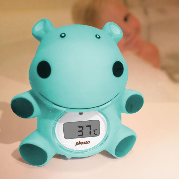 Actual product image Alecto Thermometer BC-11