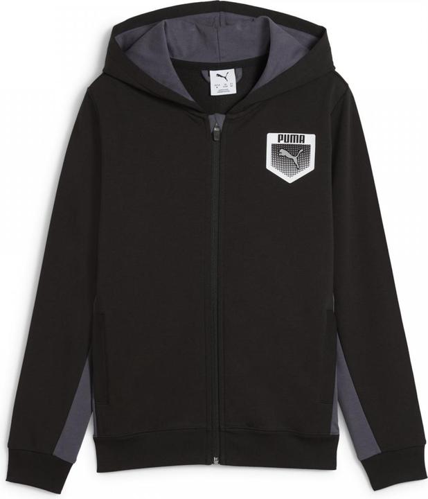 Image du produit Puma ACTIVE SPORTS Graphic Hoodie Full-Zip TR B (152)
