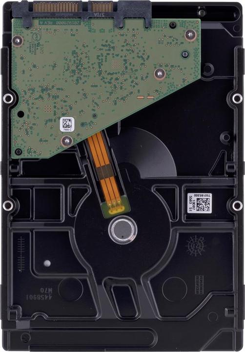 Actual product image Seagate SkyHawk (6 TB, 3.5", CMR)