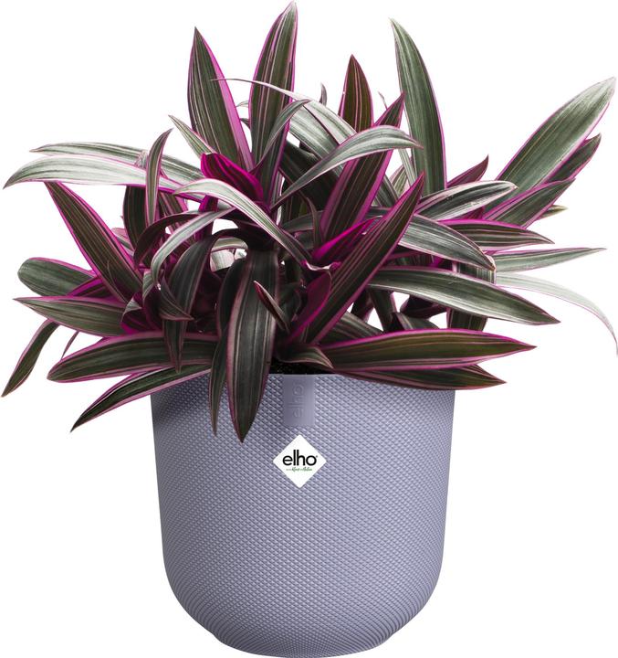 Actual product image Elho Jazz Round (18.90 cm)