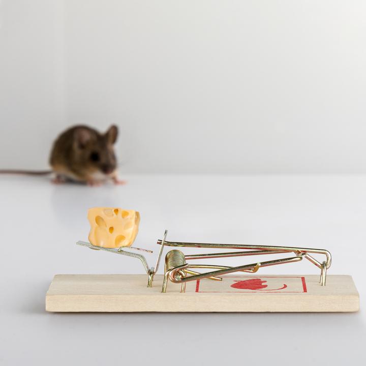 Actual product image Relaxdays Set of 12 Rodent Traps