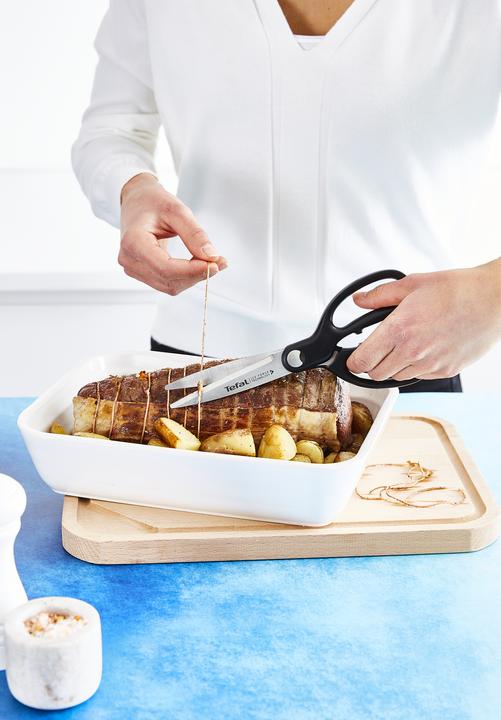 Image du produit Tefal Ingenio Ciseaux Ice Force (21.20 cm)