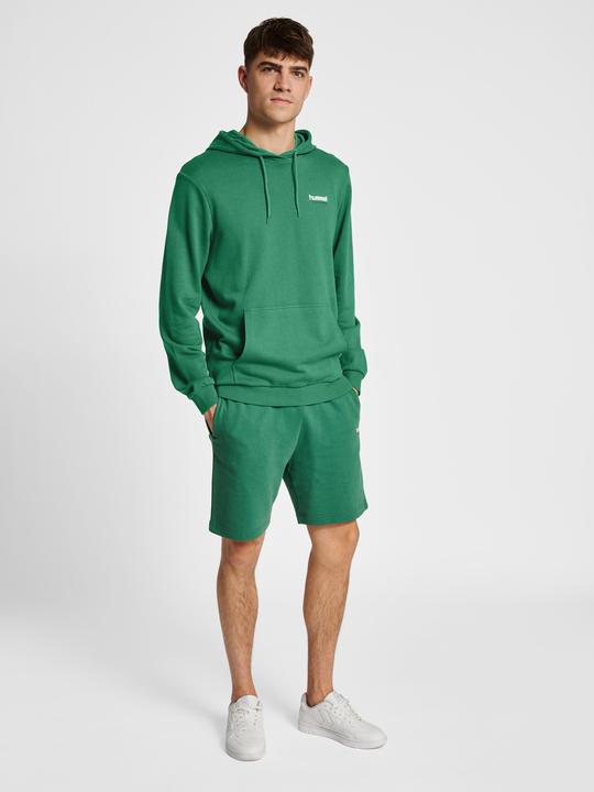 Image du produit hummel hmlLGC GABE HOODIE (M)