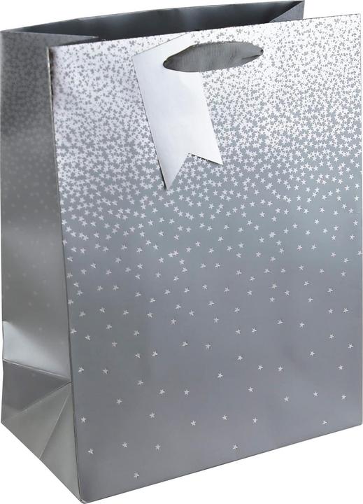 Actual product image Eurowrap Ombre Gift Bag (Pack of 6) (Gift box, 6 x)