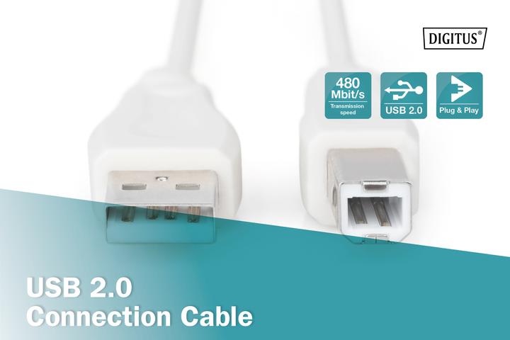 Actual product image Digitus USB connection cable (1.80 m, USB 2.0)