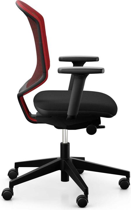 Actual product image Giroflex 434-3019